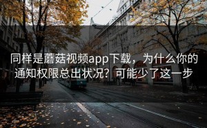 同样是蘑菇视频app下载，为什么你的通知权限总出状况？可能少了这一步