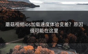蘑菇视频ios加载速度体验变差？原因很可能在这里