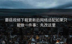 蘑菇视频下载更新后网络适配如果只能做一件事：先改这里