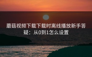 蘑菇视频下载下载时离线播放新手答疑：从0到1怎么设置