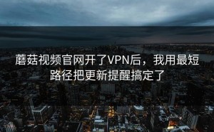 蘑菇视频官网开了VPN后，我用最短路径把更新提醒搞定了